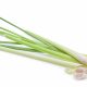 The Healthy Benefits of Eating Lemongrass (Ta-Khrai)